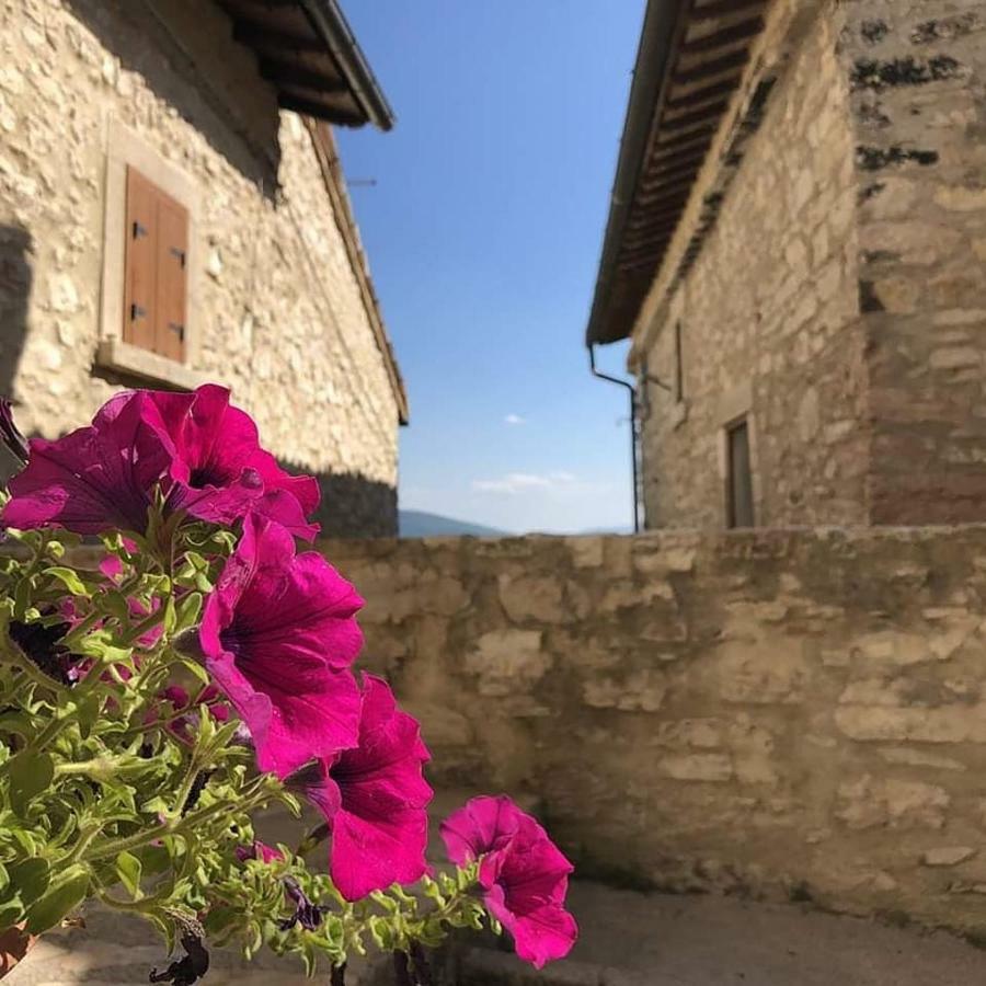 Le Case Dell'Arco - Monte San Vito Scheggino Bagian luar foto